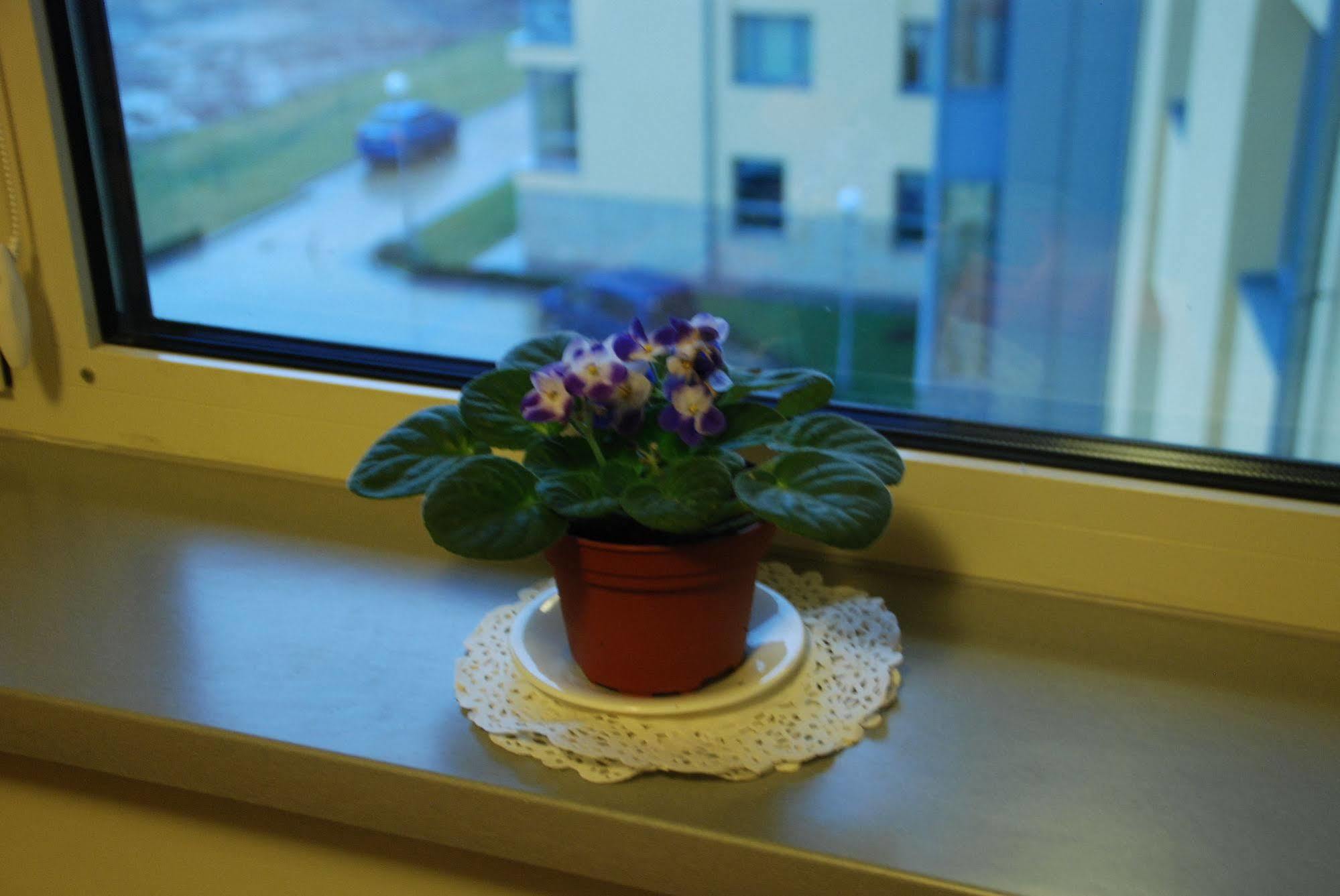 Ucu Inn - Кімнати Для Гостей Lvov Exteriér fotografie